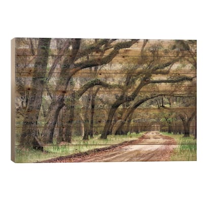 Dirt Road II Print On Wood by Danny Head - Multi-Color