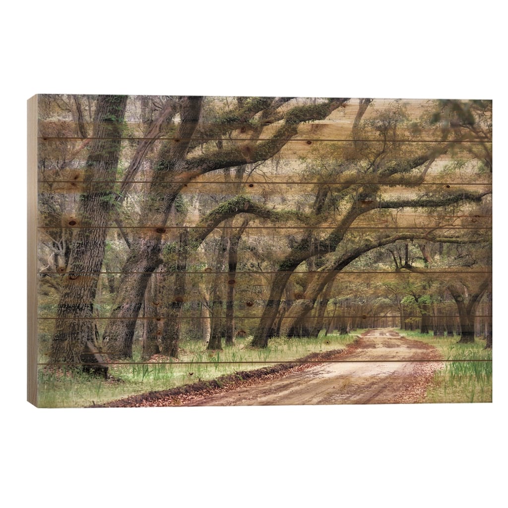Dirt Road II Print On Wood by Danny Head - Multi-Color