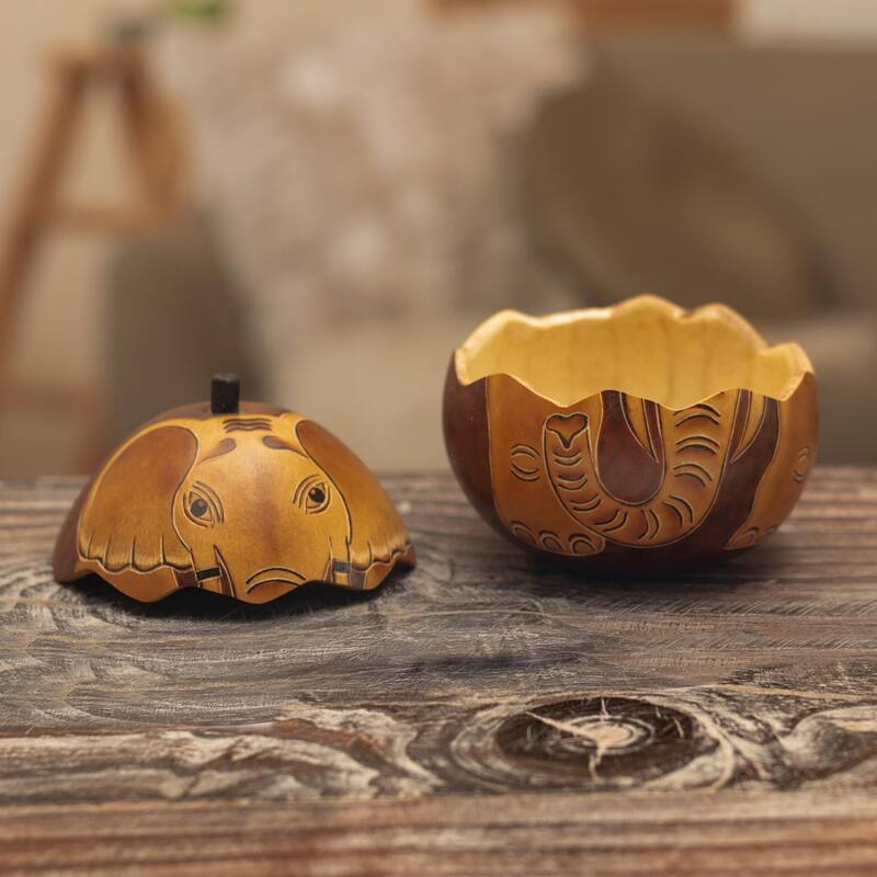 Novica Handmade Earth Tone Elephant Dried Mate Gourd Decorative Box