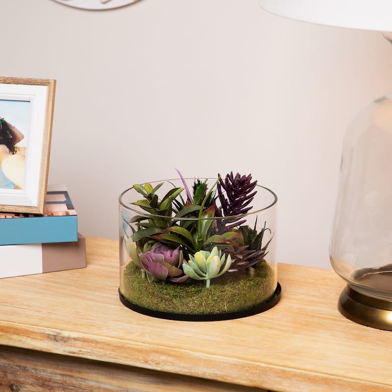 Mixed Succulent Artificial Arrangement in Round Glass Jar - 8" - 5-footx8-foot