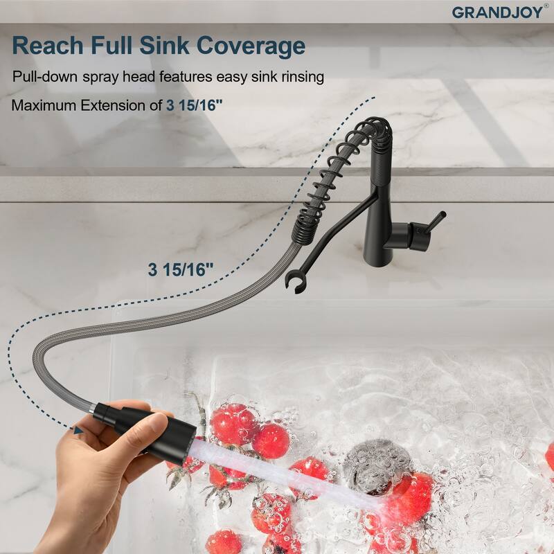 GRANDJOY Single Handle Pull Down Kitchen Faucet with Spot Resistant Finish