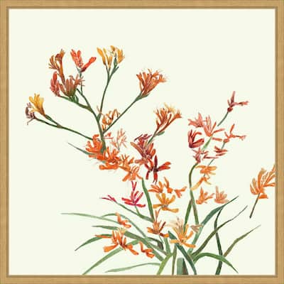 Kangaroo Paw 1 by Elan Studios Framed Canvas Wall Art Print - Sylvie Bright Gold