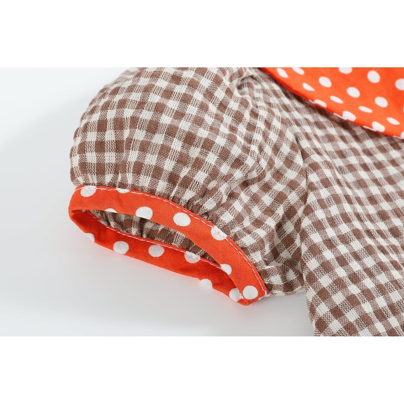 Lil Cactus Brown Gingham and Orange Pumpkin A-Line Dress