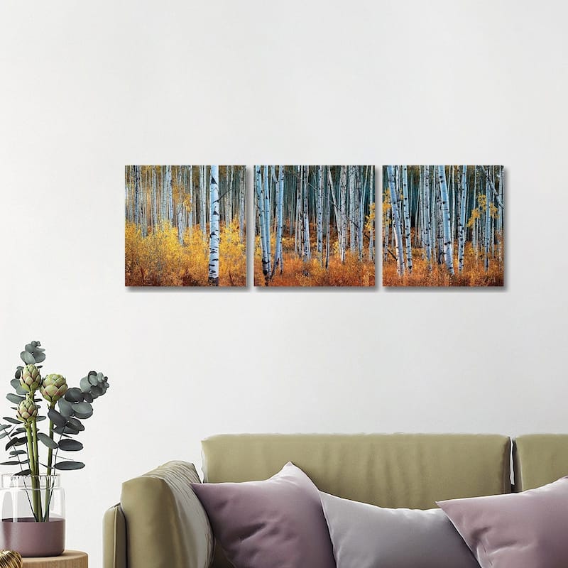 iCanvas "Colorado Autumn Wonder Panorama" by OLena Art 3-Piece Canvas Wall Art Set - 16x48x1.5