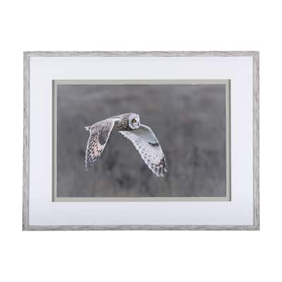 Owl in Flight Framed Art Print