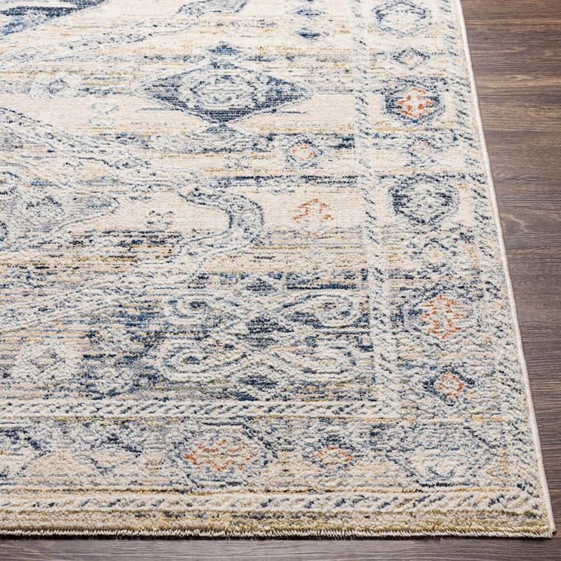Livabliss Kambiz Vintage Traditional Area Rug