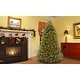 preview thumbnail 5 of 7, National Tree Company 7.5 ft. PowerConnect Dunhill Fir Tree with Clear Lights - 7.5 Foot