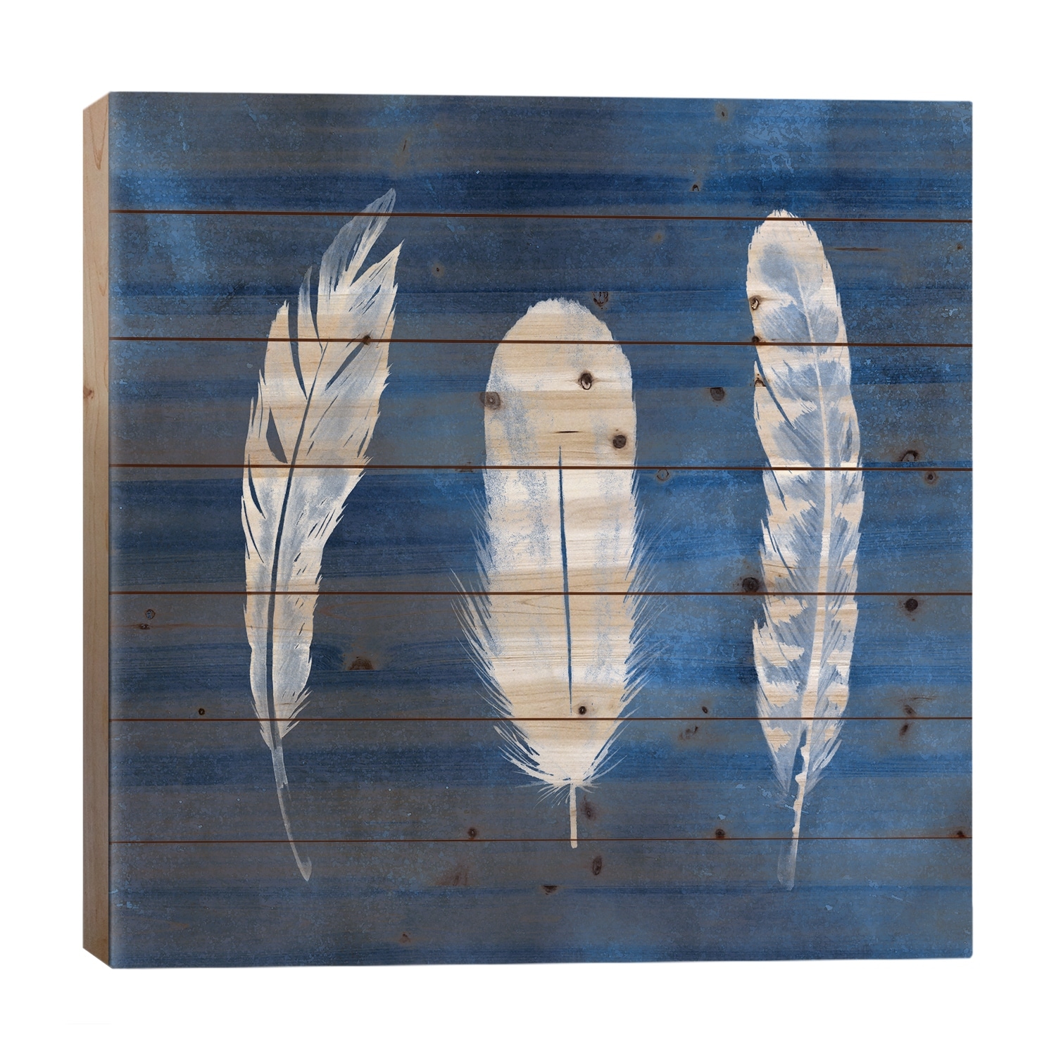 Cyanotype Feathers I Print On Wood by Grace Popp - Multi-Color