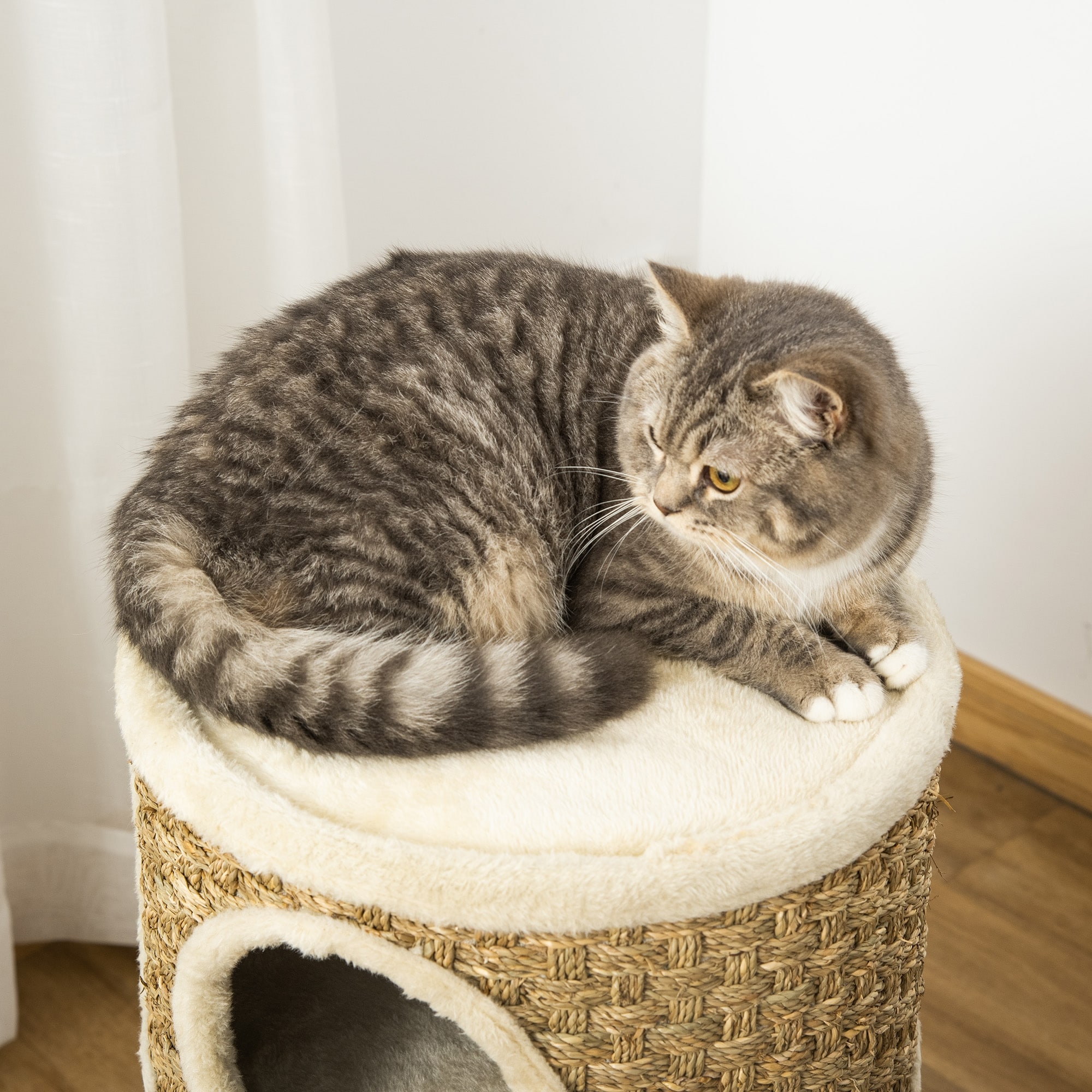3 story cat condo clearance