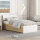 Option White + Light Oak