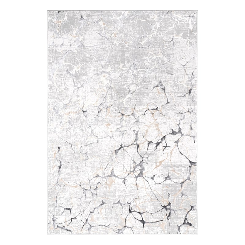 Liam Transitional Gray and Anthracite Abstract Rug
