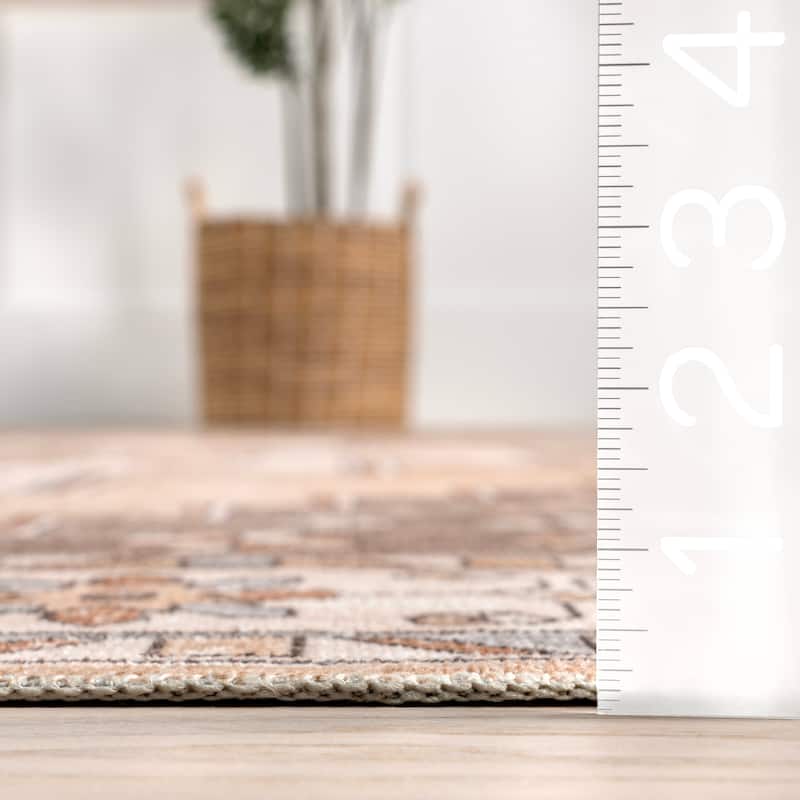 Nuloom Pavani SplashGuard Vintage Bordered Machine Washable Area Rug