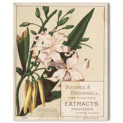 Vanilla Planifolia Canvas by Art Remedy, Gallery Wrapped