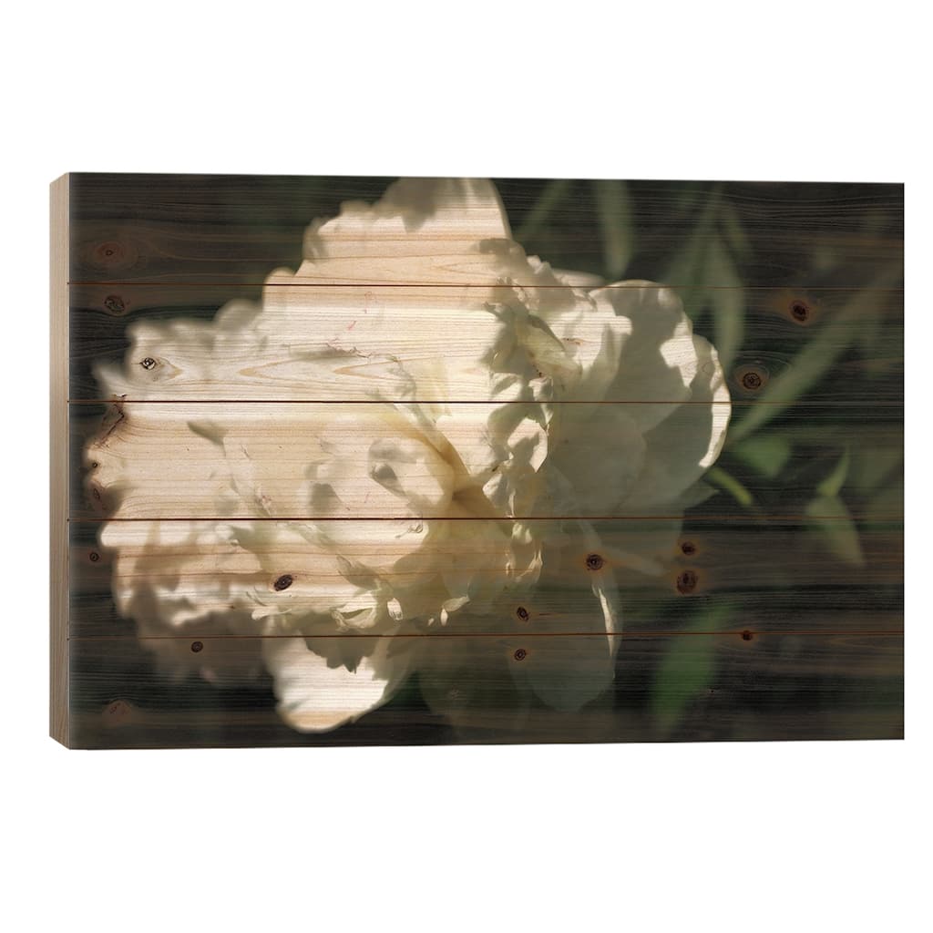 White Peony In Spring Print On Wood by Michelle Calkins - Multi-Color