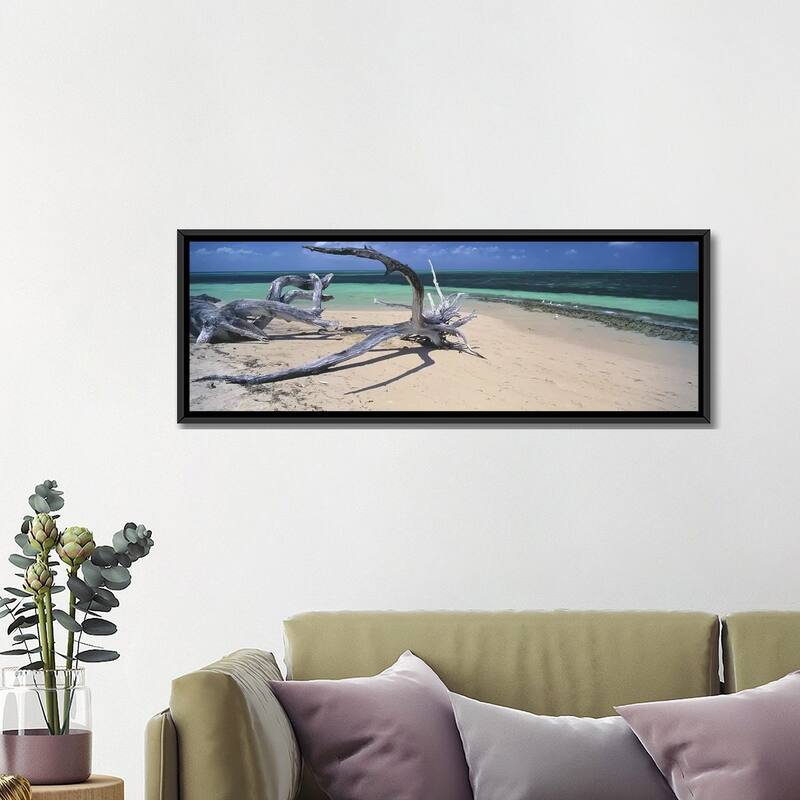 iCanvas "Driftwood on the beach, Green Island,Great Barrier Reef, Queensland, Australia" by Panoramic Images Framed Canvas Print