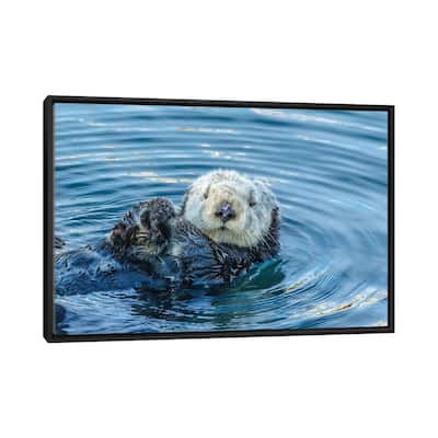 iCanvas "Usa, California, San Luis Obispo County. Sea Otter Grooming." by Jaynes Gallery Framed Canvas Print