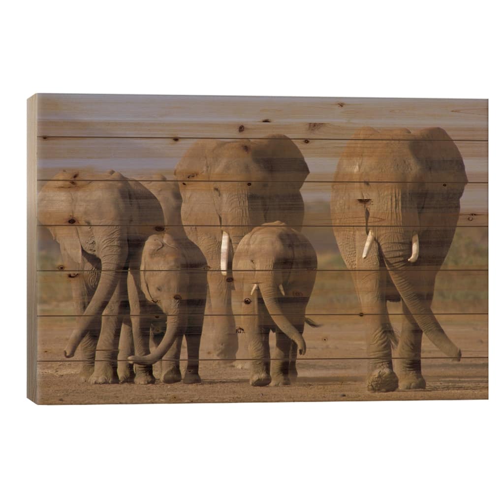 African Elephant Herd With Calves, Amboseli National Park, Kenya Print On Wood by Gerry Ellis - Multi-Color