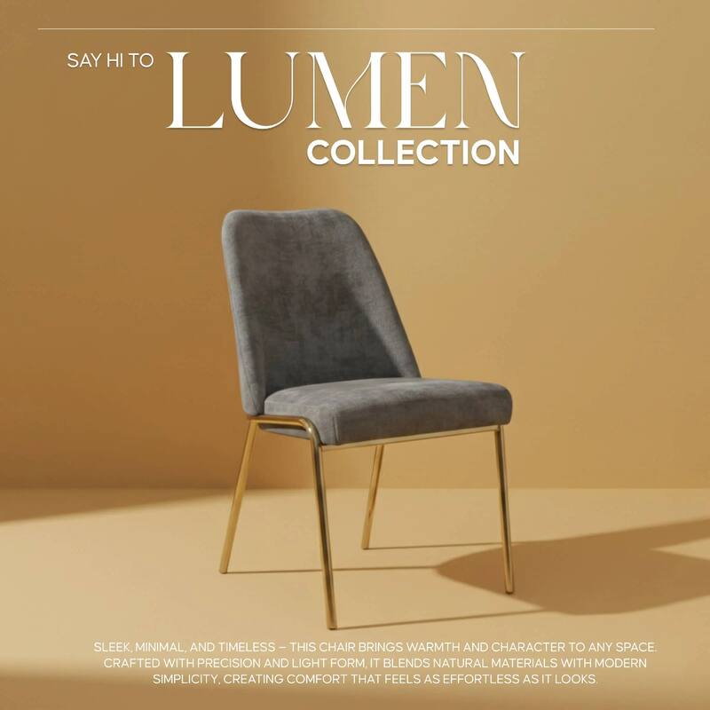 Lumen Modern Upholstered Kitchen Dining Chair with Gold Steel Legs Ergonomic Accent Chair