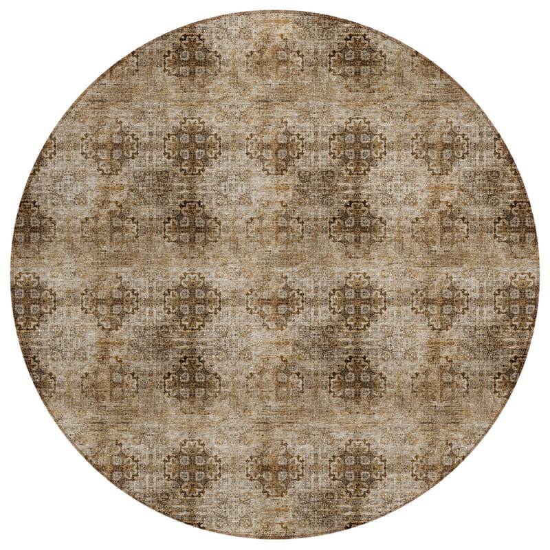 Machine Washable Indoor/ Outdoor Vintage Medallions Chantille Rug