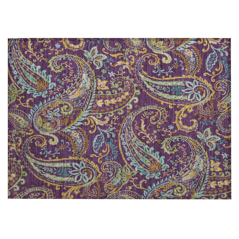 Machine Washable Indoor/ Outdoor Paisley Chantille Rug