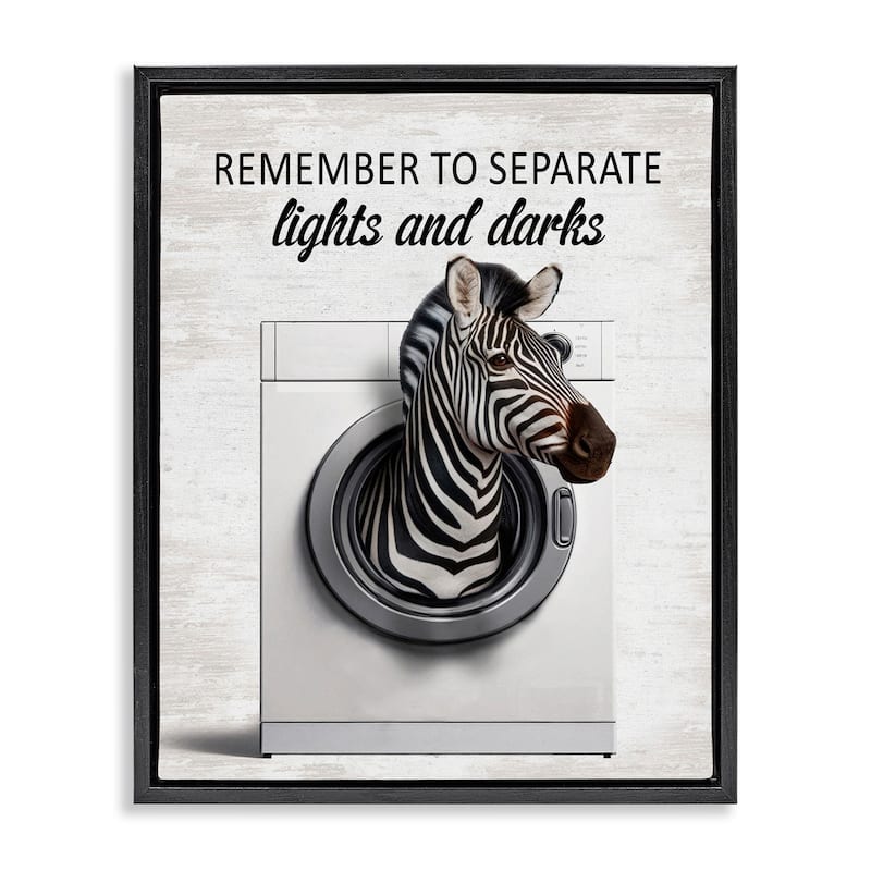 Stupell Separate Lights & Darks Laundry Framed Floater Canvas Wall Art Design By Lettered and Lined - 17 x 21 - Black