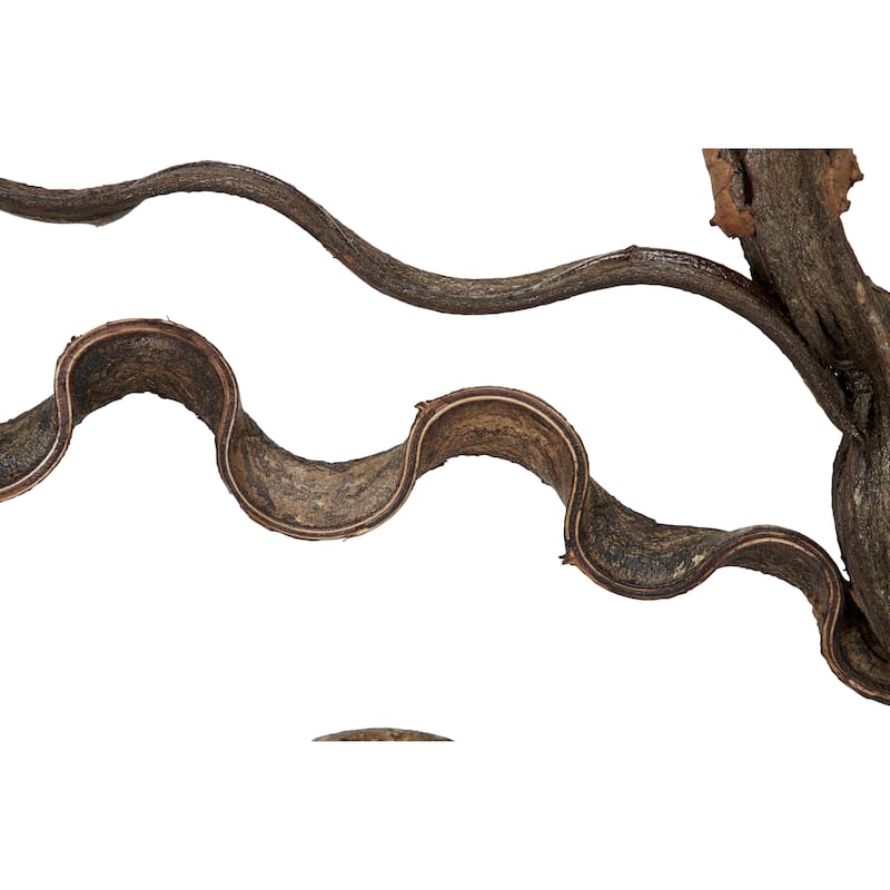 Teak Wood Tree Branch Wall Decor with Black Frame - Brown - Roche River Decor