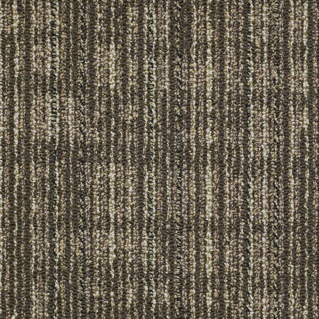 Shaw Philadelphia Commercial Mesh Weave 24" x 24" Glue Down Carpet