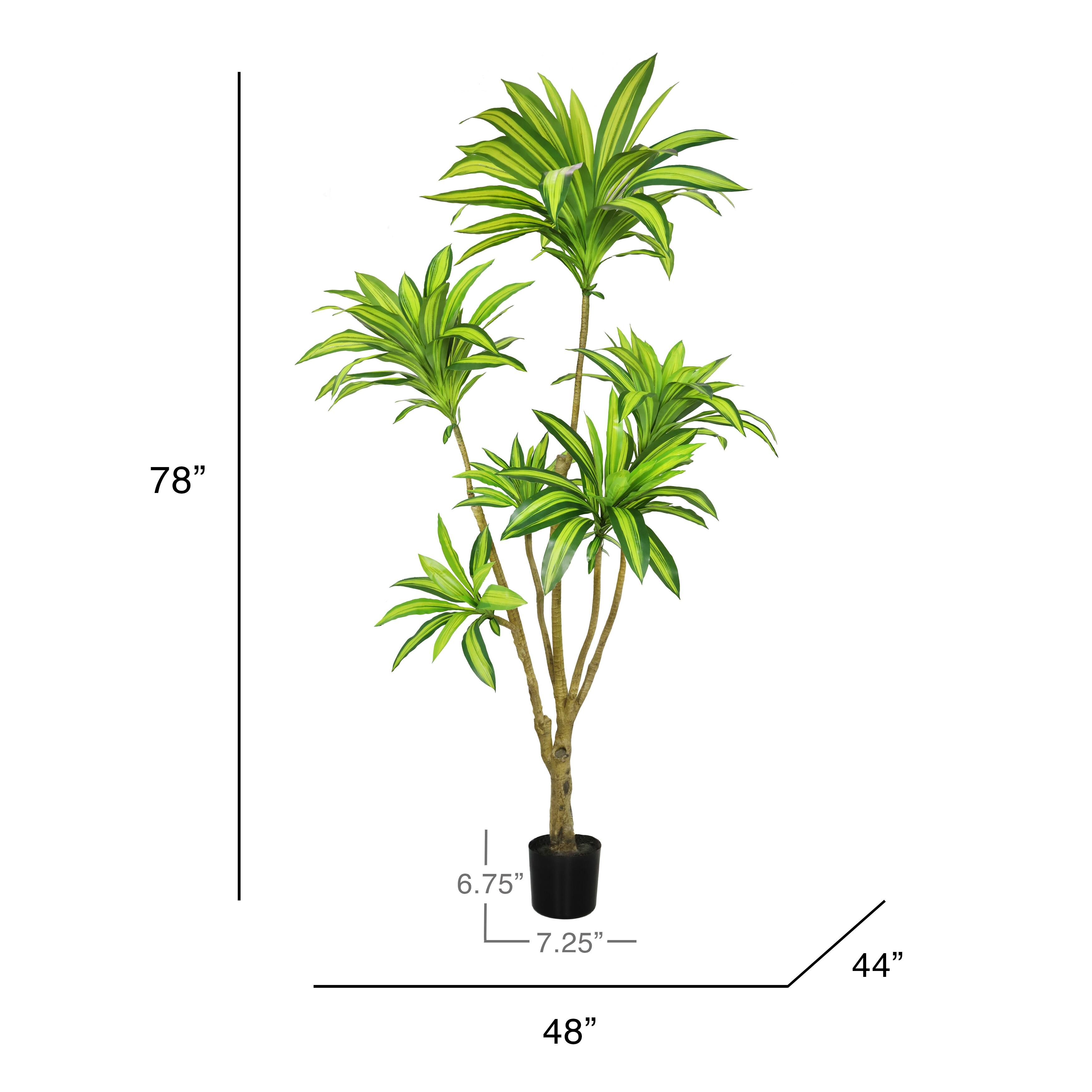 6.5ft Real Touch Artificial Dracaena Tree Plant in Black Pot 78" H x