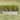 4x2x1ft Metal Raised Garden Bed, Rectangle Raised Planter