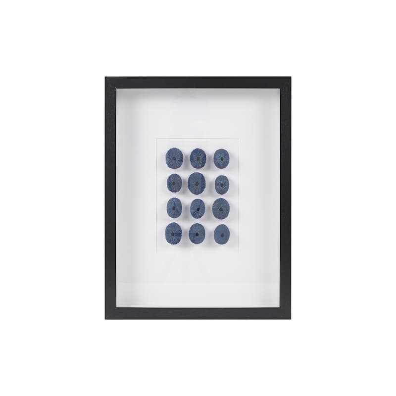 INK+IVY Indigo Shells Framed Sea Urchin Shadow Box Wall Decor