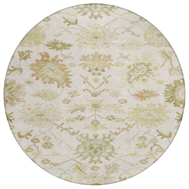 Machine Washable Indoor/ Outdoor Traditional Casual Chantille Rug