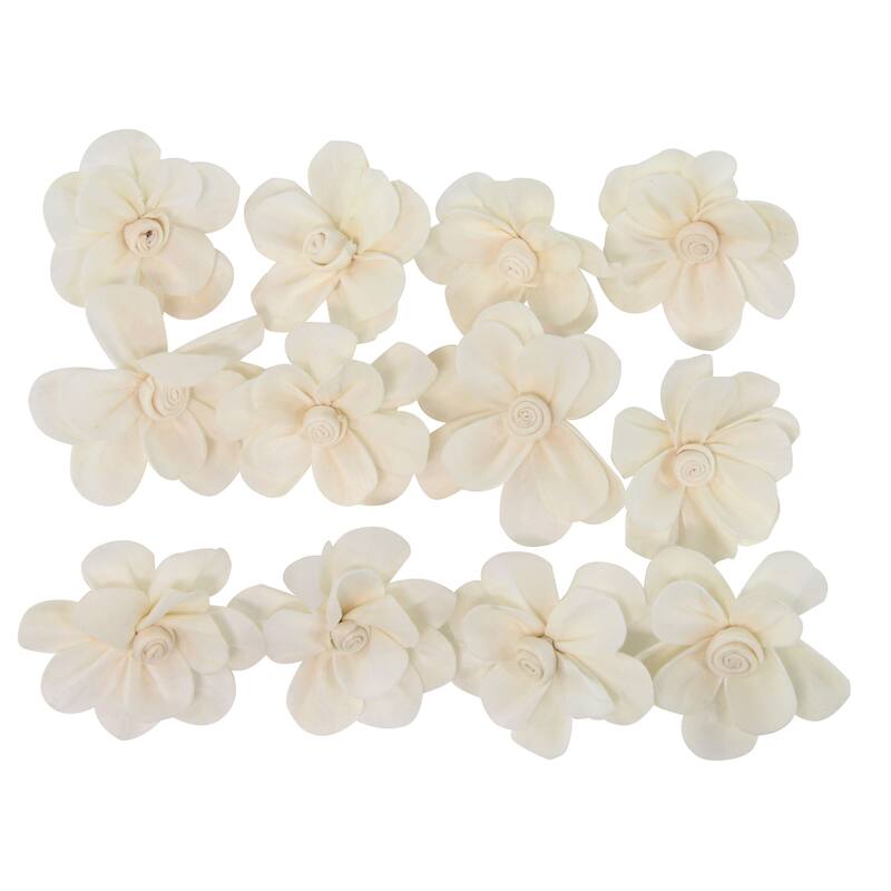 Boxed Natural White Mona Lisa and Daffodil Sola Flowers (Set of 2) - 6 x 7 - 6 x 7