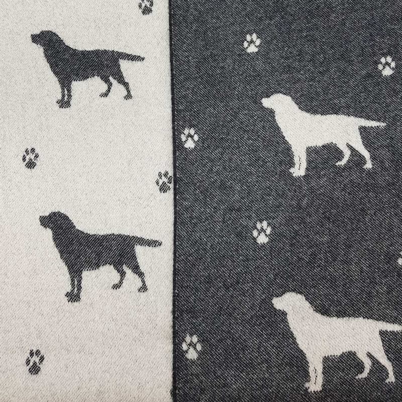 Black Labrador