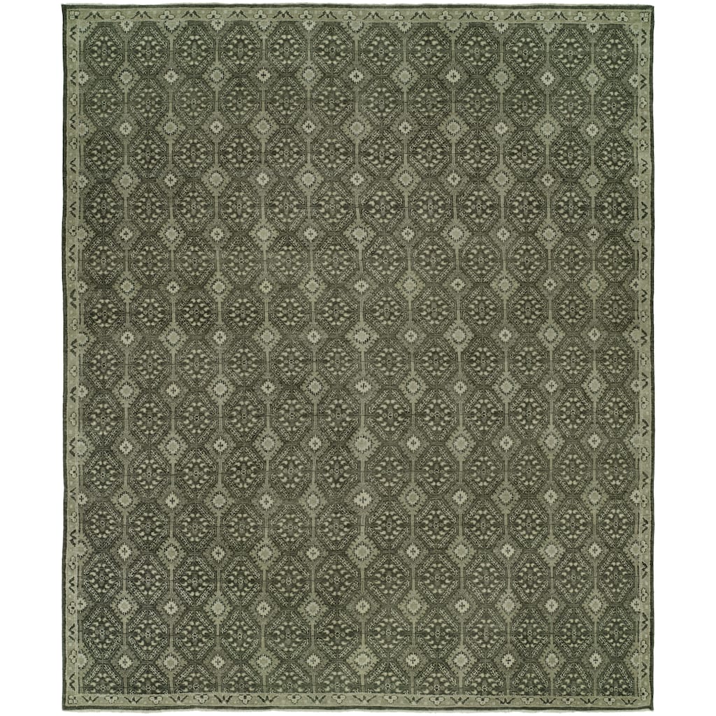Transitional Multi-Colored Hand-Knotted WOOL Area Rug