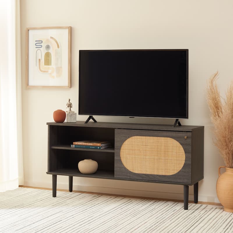 SAFAVIEH Sade Single Door 2-Shelf Media Stand - 47" W x 15" D x 24" H - 47Wx15Dx24H