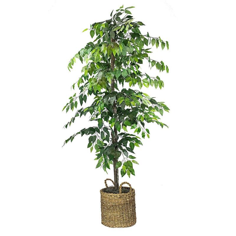 6-foot Artificial Ficus Tree in Basket