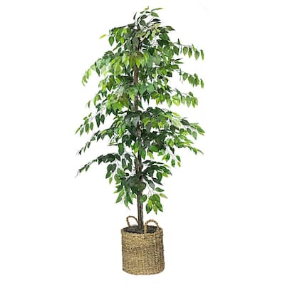 6-foot Artificial Ficus Tree in Basket