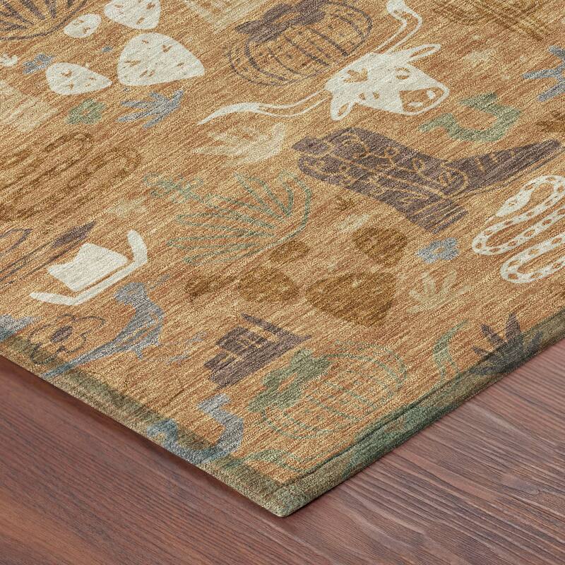 Machine Washable Indoor/ Outdoor Modern Ranch Chantille Rug