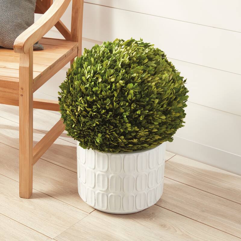 Boxwood Ball 16"