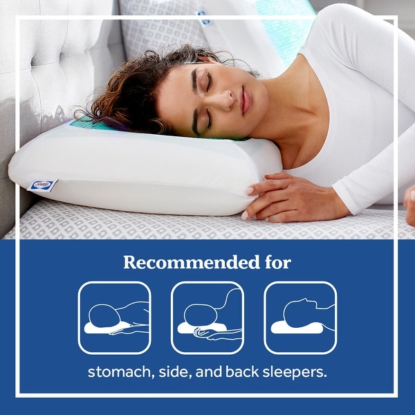 Sealy gel memory foam pillow cheap