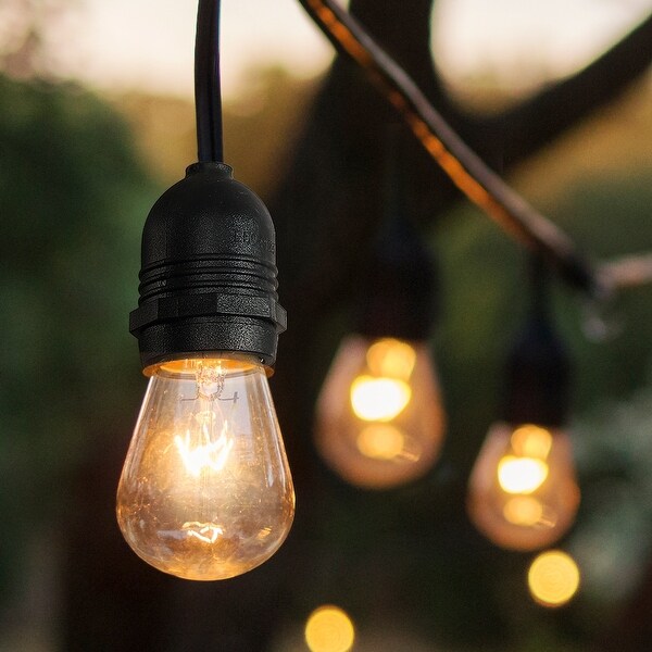 Indoor edison 2025 string lights