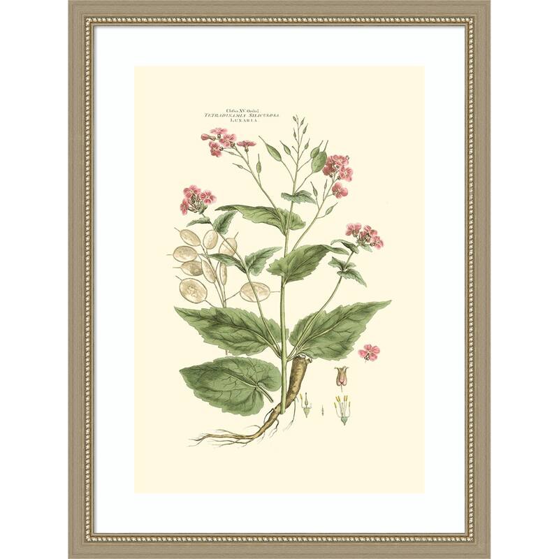 Small Blushing Pink Florals No. 7 by John Miller Wood Framed Wall Art Print
