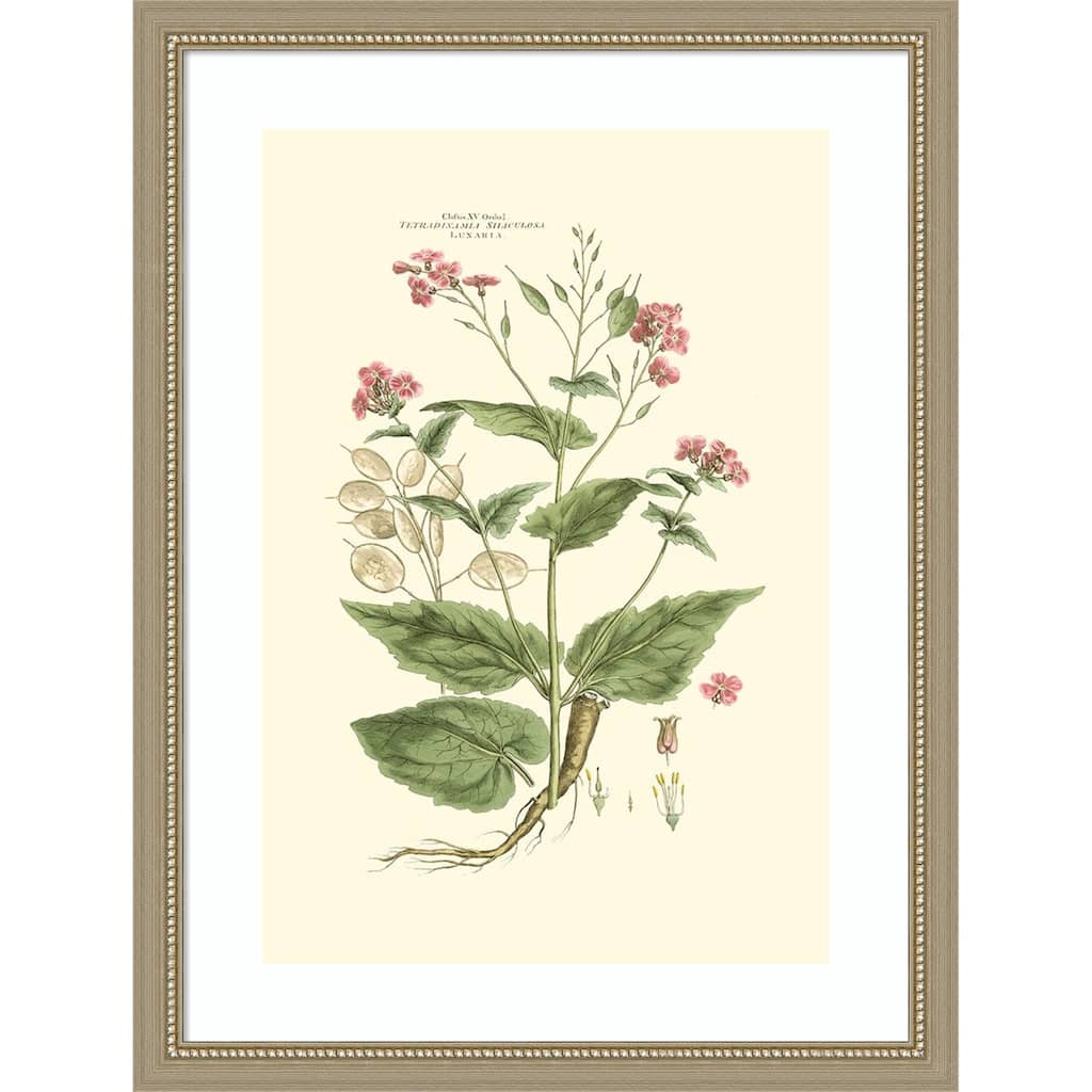 Small Blushing Pink Florals No. 7 by John Miller Wood Framed Wall Art Print