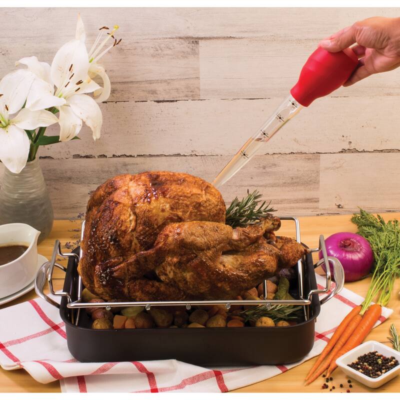 HIC Roasting Stand-Up Turkey Baster, Set of 2