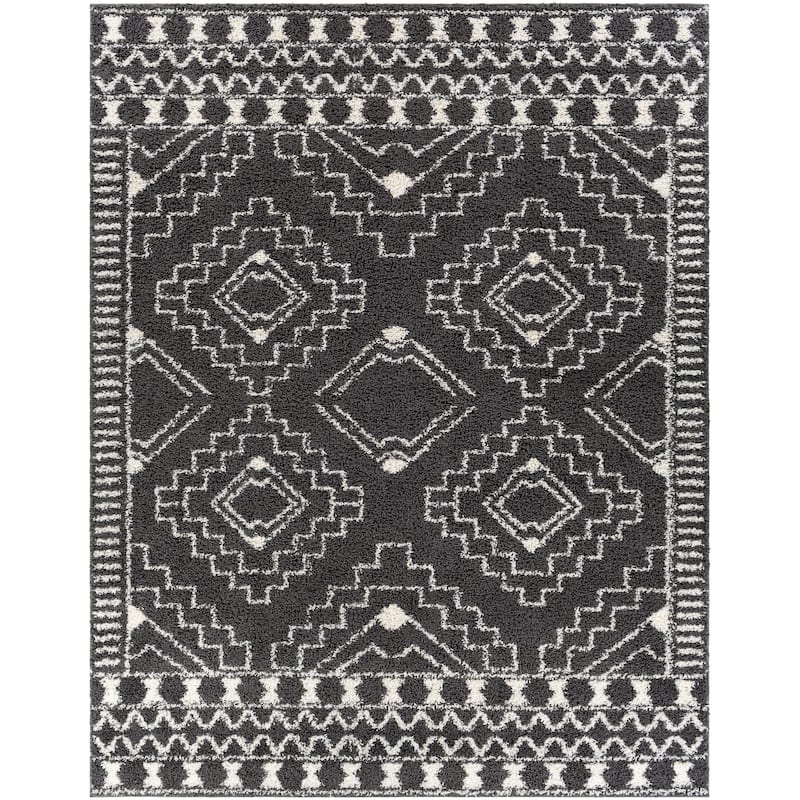 Hidalgo Moroccan Plush Area Rug