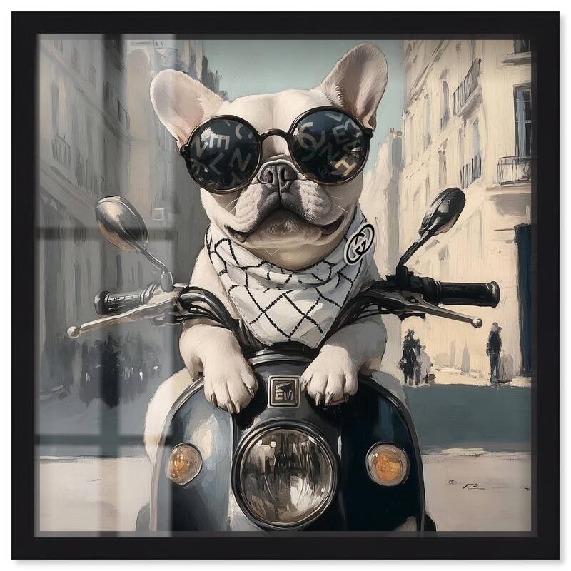 Frenchie on a Scooter Drive Shadowbox by Art Remedy - Black - 30" x 30"