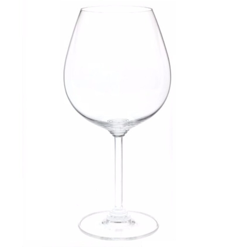 Riedel 6448//07 Wine Series Pinot Noir Glass Set of 2