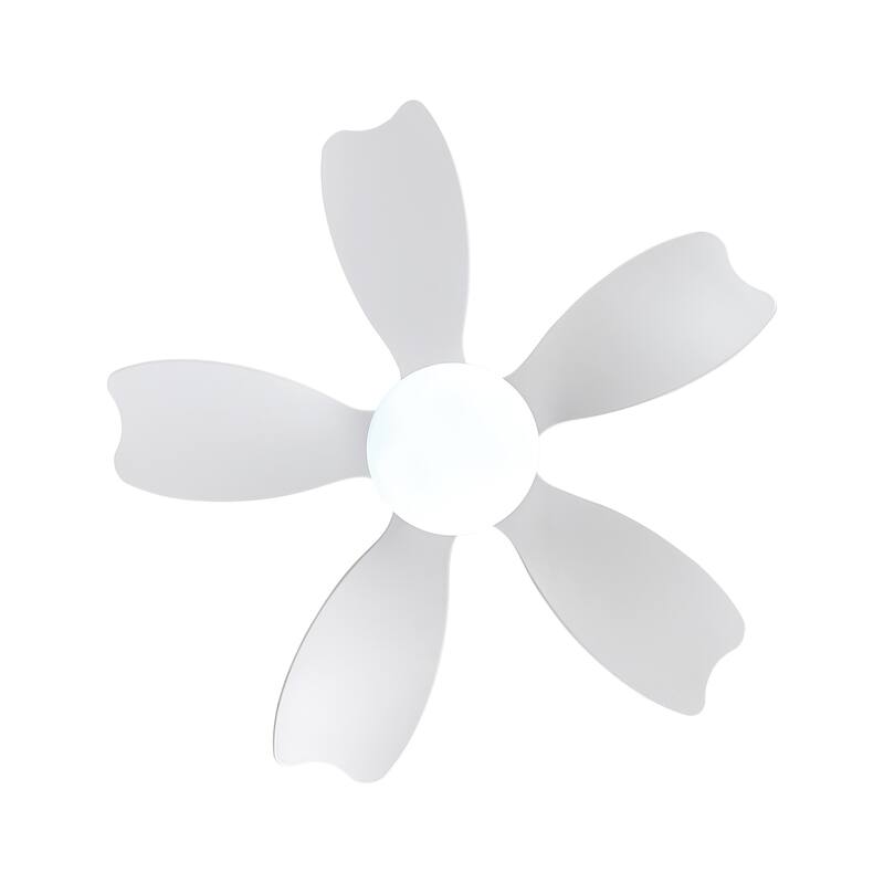 Modern Small Ceiling Fan Light with 3 Color Temperatures and 5 Blades, 6 Adjustable Wind Speeds for Bedroom and Living Room