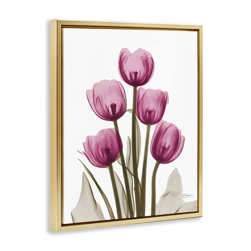 Stupell Pink X-Ray Tulips Framed Floater Canvas Wall Art Design by Albert Koetsier