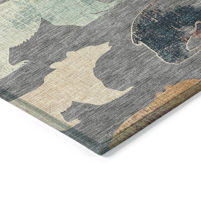 Machine Washable Indoor/ Outdoor Modern Bear Chantille Rug